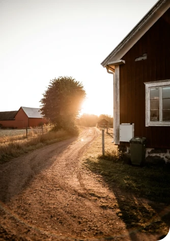 Ludzie podziwiający zachód słońca